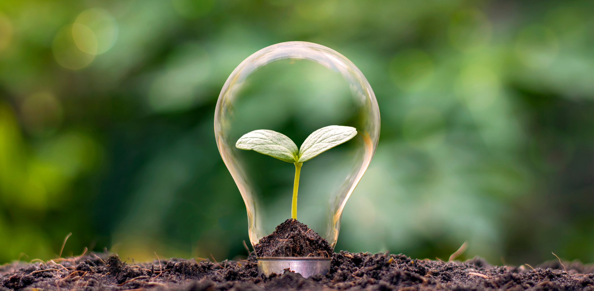 Sobriété Énergétique : Quels impacts présents et futurs sur les bureaux de votre entreprise ?